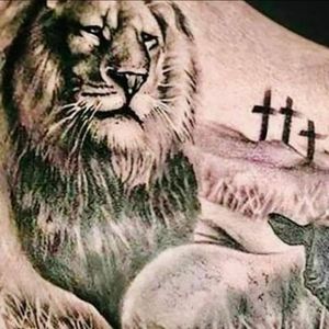 Meet your Posher, Carla steven mcculler